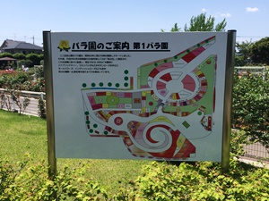 伊奈町バラ園