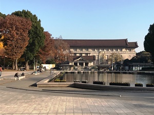 噴水と東京国立博物館